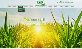 昆明奧遠科技 一站式數(shù)字解決方案，賦能企業(yè)智能轉(zhuǎn)型